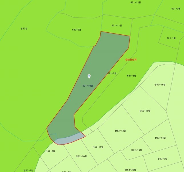 2024타경97095 경기도 용인시 처인구 백암면 박곡리 621-10 임야 경매 이미지