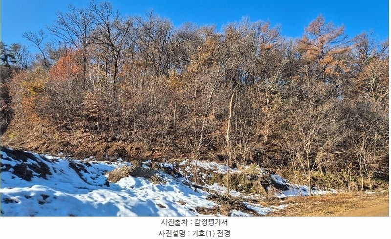 2024타경99718 경기도 화성시 남양읍 원천리 산133 임야 경매 이미지