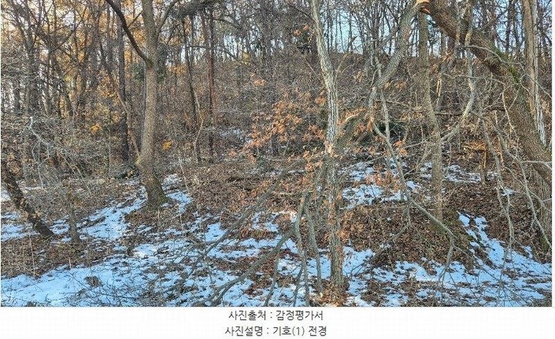 2024타경99718 경기도 화성시 남양읍 원천리 산133 임야 경매 이미지