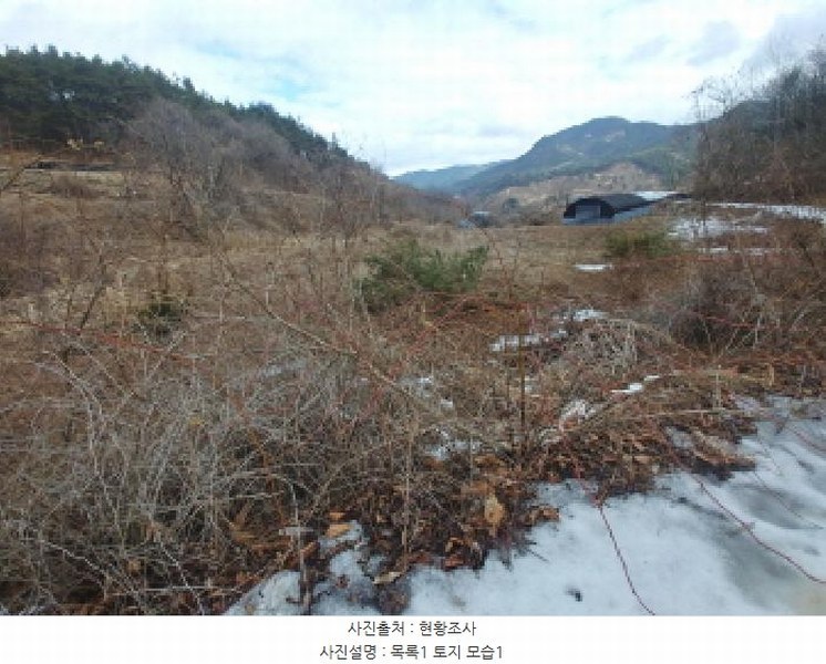 2025타경1153 충청남도 금산군 남일면 신정리 762 농지 경매 이미지