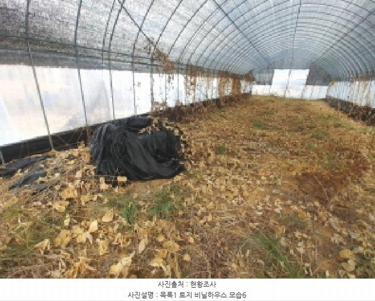 2025타경1153 충청남도 금산군 남일면 신정리 762 농지 경매 이미지