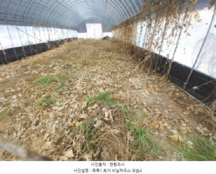 2025타경1153 충청남도 금산군 남일면 신정리 762 농지 경매 이미지