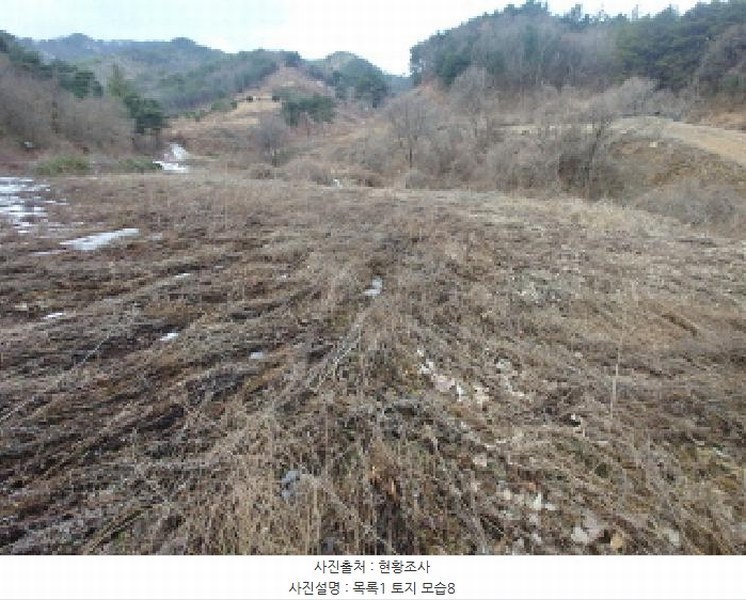 2025타경1153 충청남도 금산군 남일면 신정리 762 농지 경매 이미지