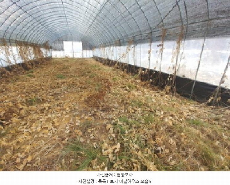 2025타경1153 충청남도 금산군 남일면 신정리 762 농지 경매 이미지