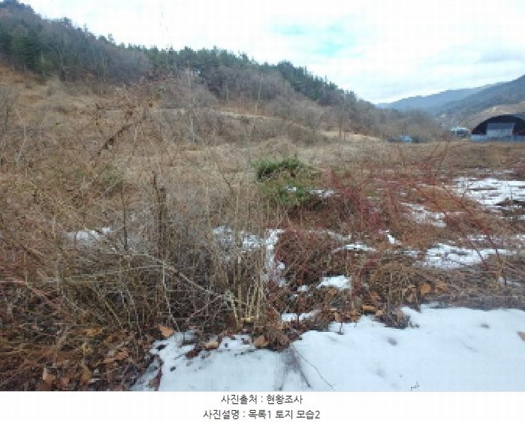 2025타경1153 충청남도 금산군 남일면 신정리 762 농지 경매 이미지