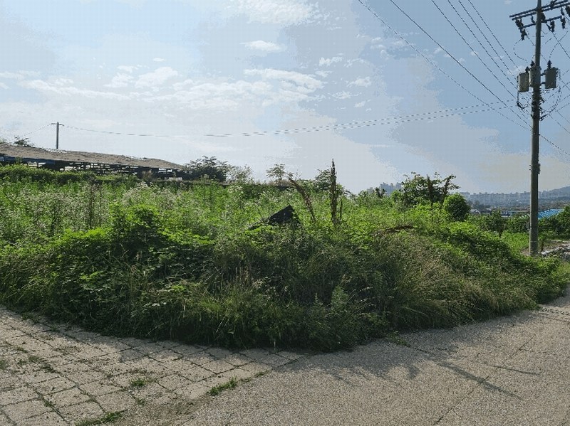 2025타경1241 충청북도 충주시 안림동 393-3 과수원 경매 이미지