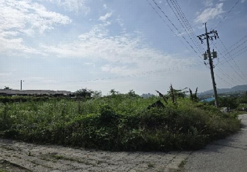 2025타경1241 충청북도 충주시 안림동 393-3 과수원 경매 이미지