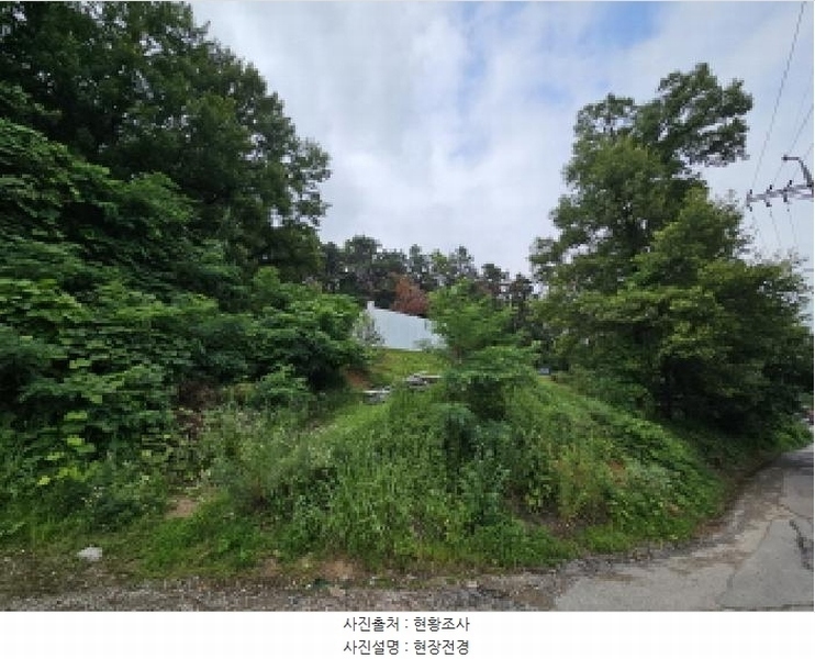 2025타경1294 경기도 용인시 기흥구 언남동 산73 임야 경매 이미지