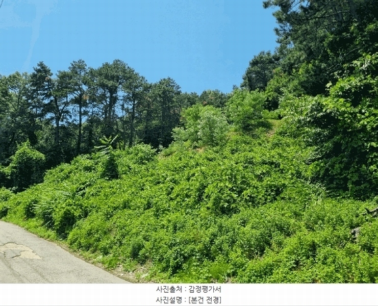 2025타경1294 경기도 용인시 기흥구 언남동 산73 임야 경매 이미지