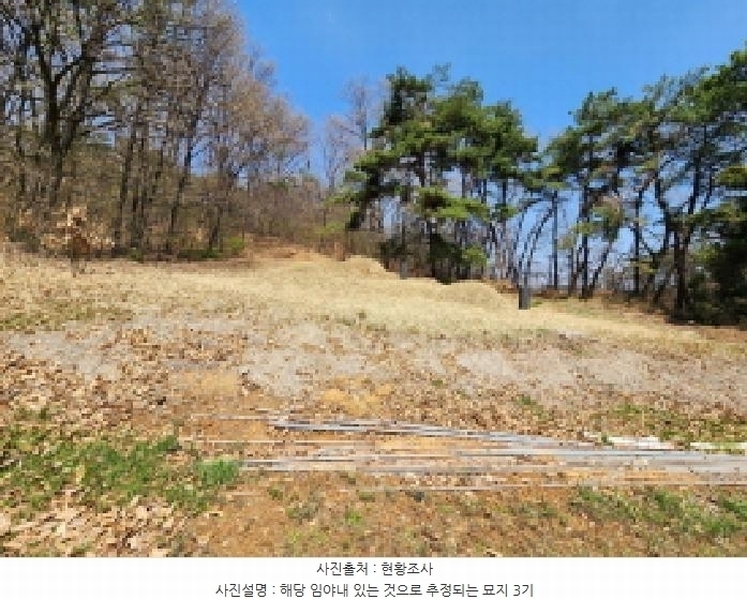 2025타경55332 경기도 화성시 팔탄면 율암리 산56-42 임야 경매 이미지