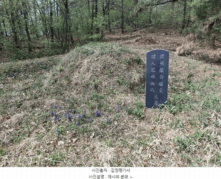 2025타경55332 경기도 화성시 팔탄면 율암리 산56-42 임야 경매 이미지