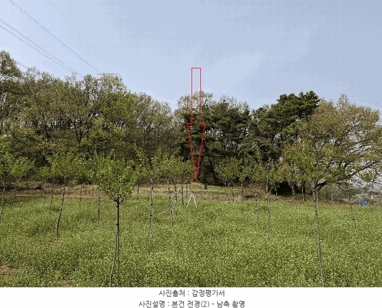 2025타경55332 경기도 화성시 팔탄면 율암리 산56-42 임야 경매 이미지