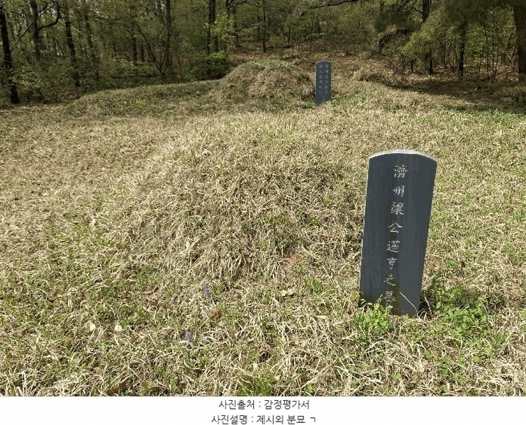 2025타경55332 경기도 화성시 팔탄면 율암리 산56-42 임야 경매 이미지