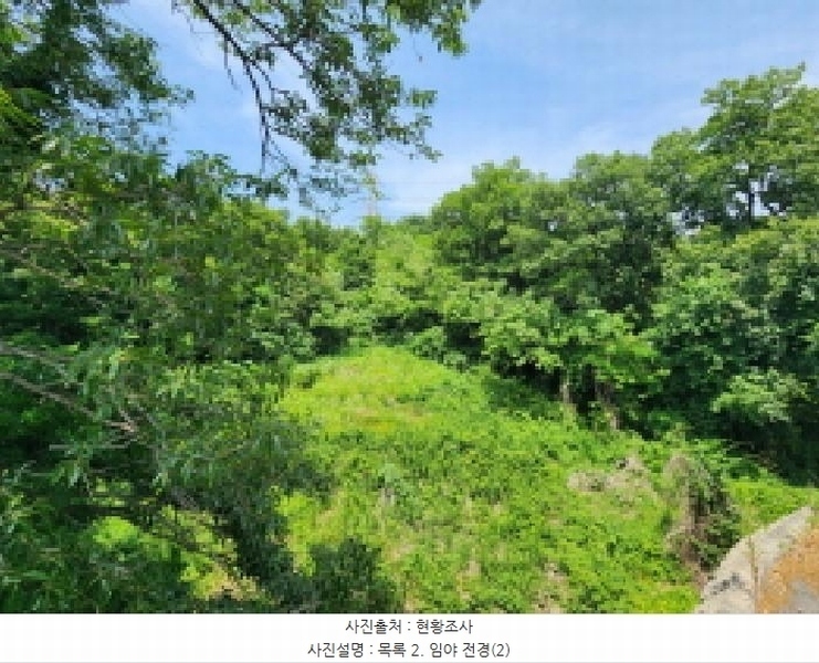 2025타경56172 경기도 화성시 장안면 석포리 산280-2 임야 경매 이미지
