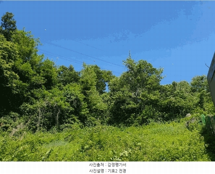2025타경56172 경기도 화성시 장안면 석포리 산280-2 임야 경매 이미지