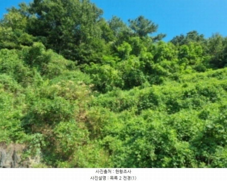 2024타경83577 경기도 화성시 송산면 육일리 657-13 임야 경매 이미지