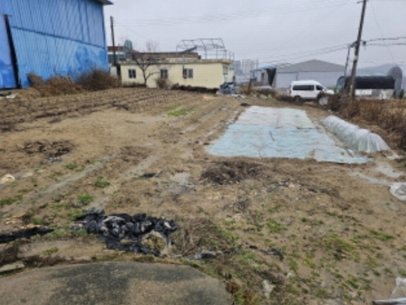 2024타경101314 충청남도 천안시 서북구 신당동 373-17 농지 경매 이미지
