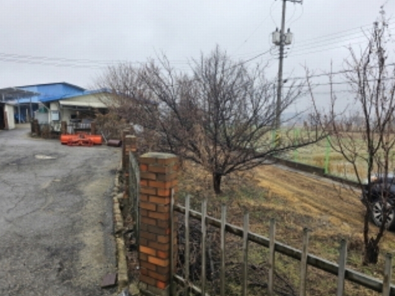 2024타경101314 충청남도 천안시 서북구 신당동 373-17 농지 경매 이미지