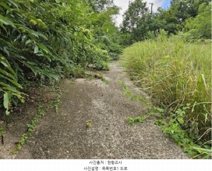 2025타경847 경상남도 산청군 신등면 간공리 산137 임야 경매 이미지