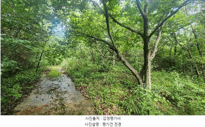 2025타경847 경상남도 산청군 신등면 간공리 산137 임야 경매 이미지