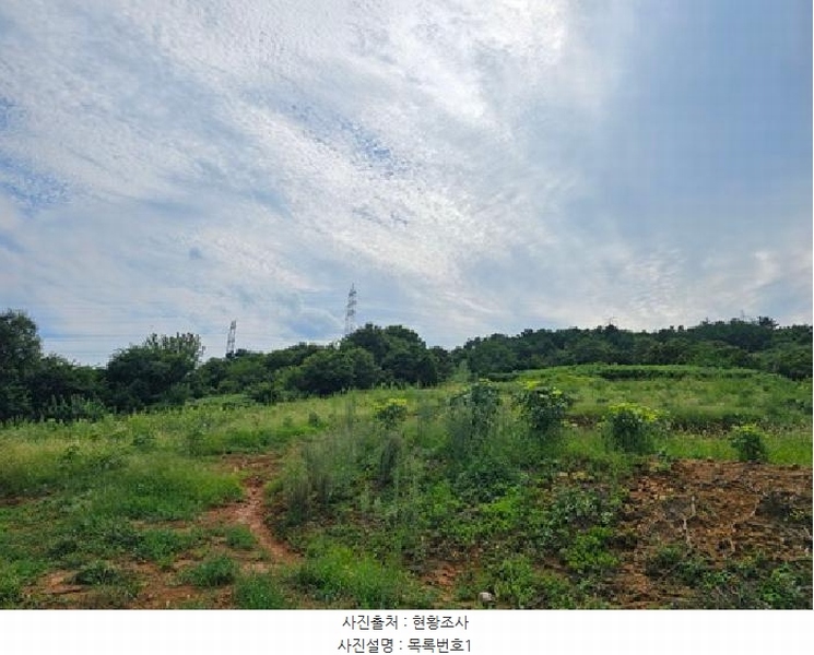 2025타경847 경상남도 산청군 신등면 간공리 산137 임야 경매 이미지