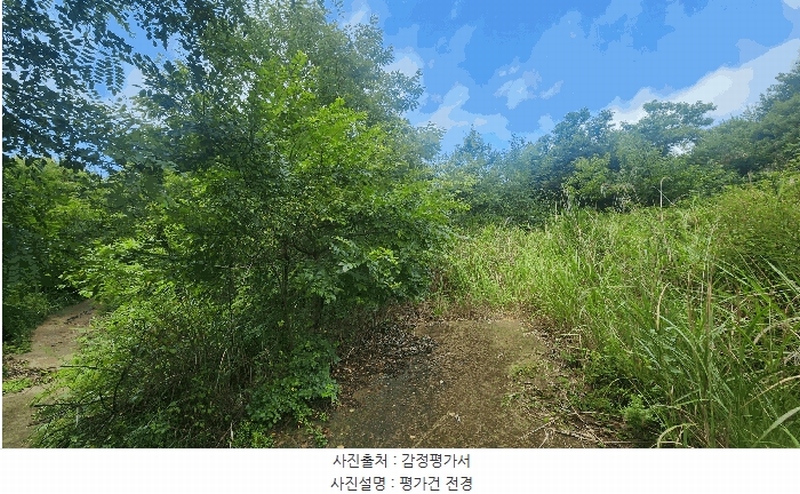 2025타경847 경상남도 산청군 신등면 간공리 산137 임야 경매 이미지