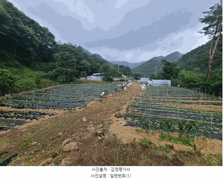 2025타경912 강원특별자치도 평창군 대화면 대화리 1573-2 주택 경매 이미지