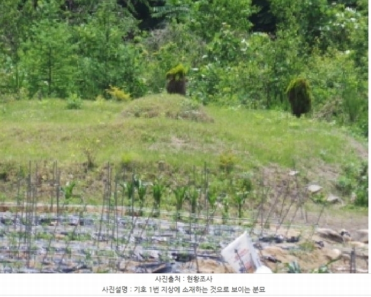 2025타경912 강원특별자치도 평창군 대화면 대화리 1573-2 주택 경매 이미지