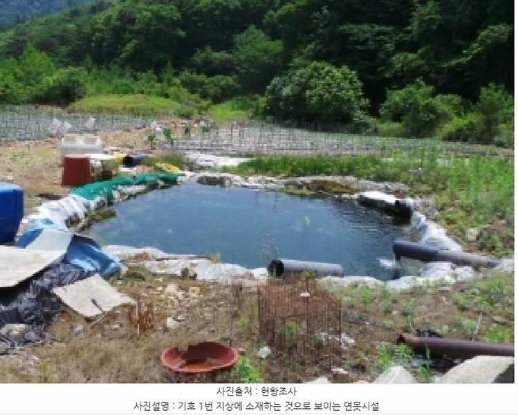 2025타경912 강원특별자치도 평창군 대화면 대화리 1573-2 주택 경매 이미지