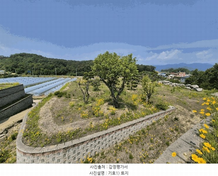 2025타경1334 경상북도 성주군 대가면 옥성리 807 농지 경매 이미지