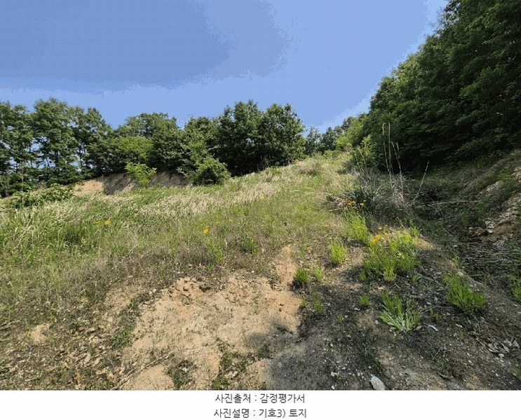 2025타경1334 경상북도 성주군 대가면 옥성리 807 농지 경매 이미지