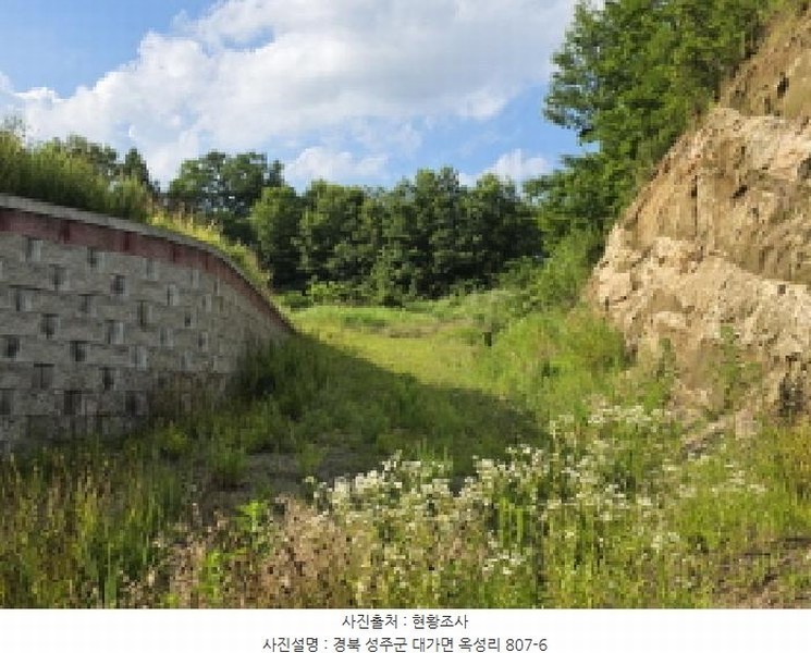 2025타경1334 경상북도 성주군 대가면 옥성리 807 농지 경매 이미지