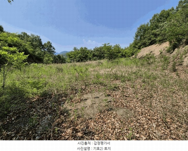 2025타경1334 경상북도 성주군 대가면 옥성리 807 농지 경매 이미지
