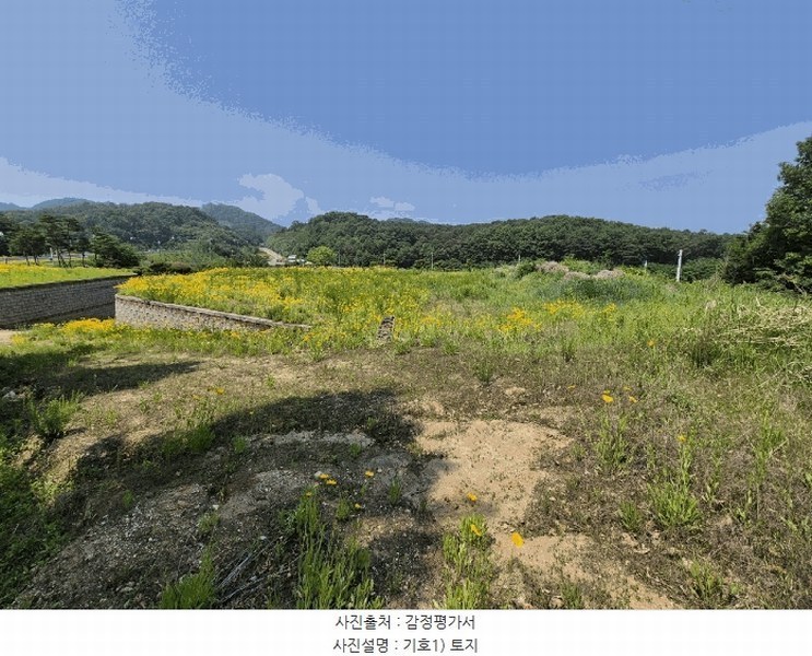 2025타경1334 경상북도 성주군 대가면 옥성리 807 농지 경매 이미지