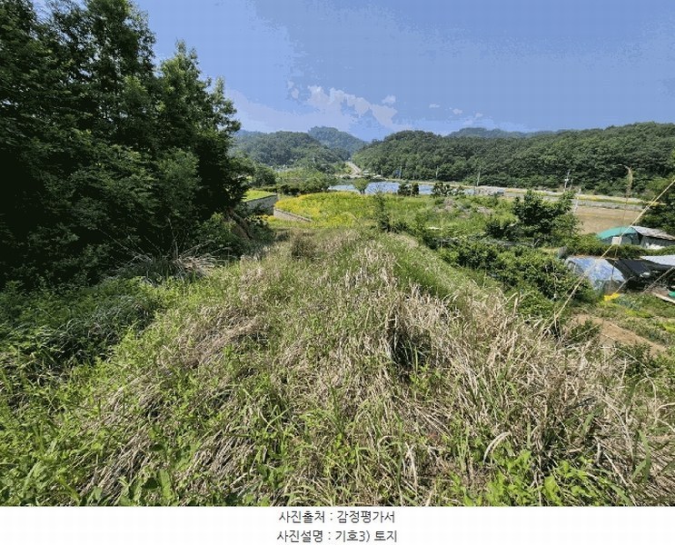2025타경1334 경상북도 성주군 대가면 옥성리 807 농지 경매 이미지