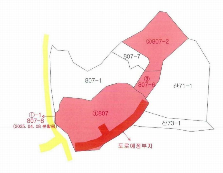2025타경1334 경상북도 성주군 대가면 옥성리 807 농지 경매 이미지