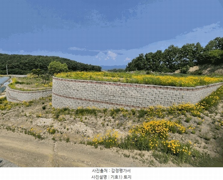 2025타경1334 경상북도 성주군 대가면 옥성리 807 농지 경매 이미지