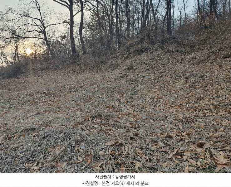 2025타경51201 경기도 화성시 봉담읍 상기리 산167 임야 경매 이미지