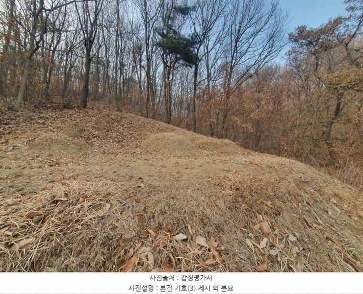 2025타경51201 경기도 화성시 봉담읍 상기리 산167 임야 경매 이미지