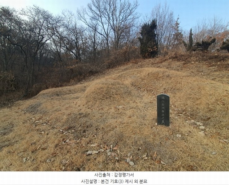 2025타경51201 경기도 화성시 봉담읍 상기리 산167 임야 경매 이미지