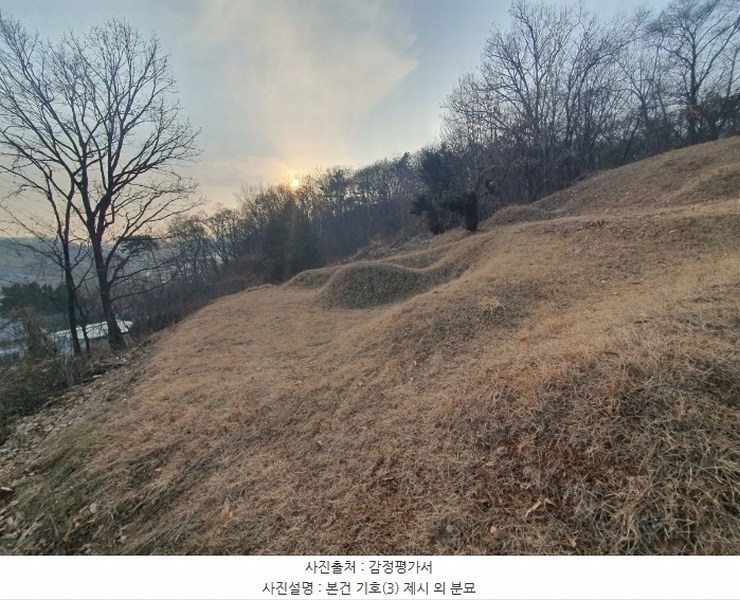 2025타경51201 경기도 화성시 봉담읍 상기리 산167 임야 경매 이미지