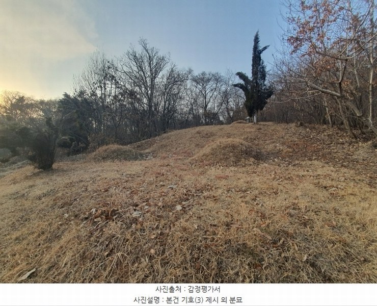 2025타경51201 경기도 화성시 봉담읍 상기리 산167 임야 경매 이미지