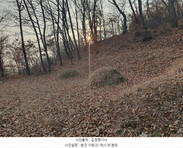 2025타경51201 경기도 화성시 봉담읍 상기리 산167 임야 경매 이미지