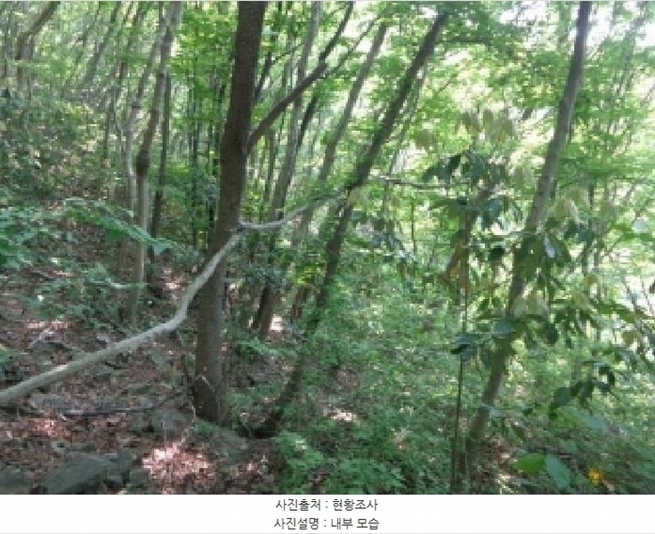 2025타경51331 충청남도 태안군 근흥면 가의도리 560-1 임야 경매 이미지