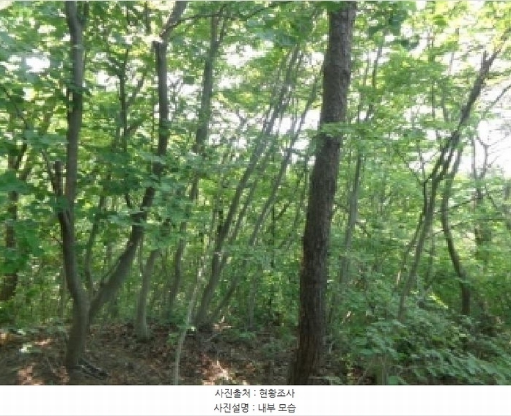2025타경51331 충청남도 태안군 근흥면 가의도리 560-1 임야 경매 이미지