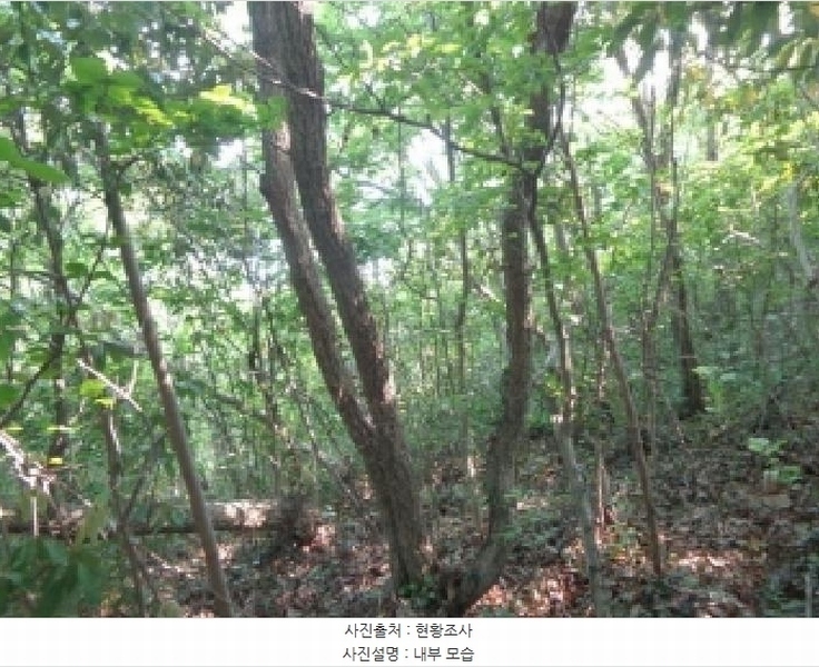 2025타경51331 충청남도 태안군 근흥면 가의도리 560-1 임야 경매 이미지