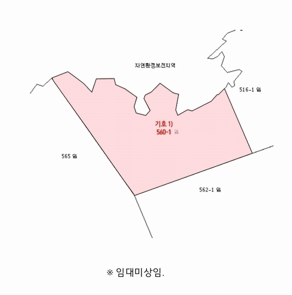 2025타경51331 충청남도 태안군 근흥면 가의도리 560-1 임야 경매 이미지