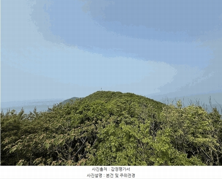 2025타경51331 충청남도 태안군 근흥면 가의도리 560-1 임야 경매 이미지