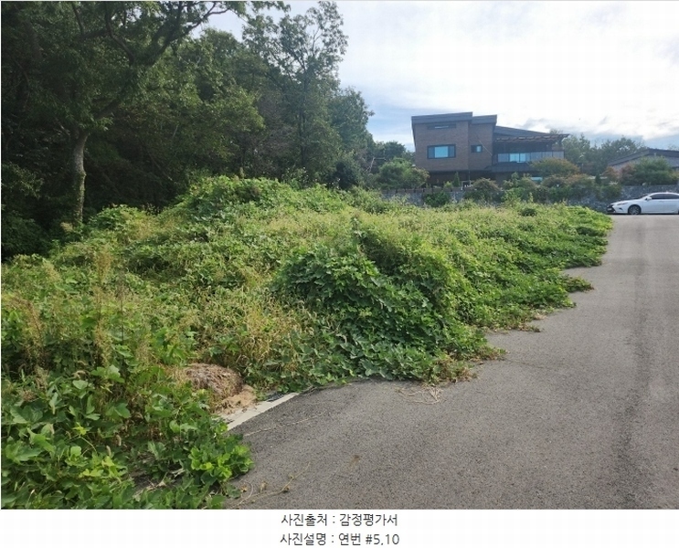 2024타경10357 경기도 화성시 우정읍 조암리 69-10 임야 경매 이미지