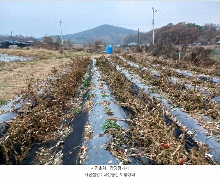 2024타경97521 경기도 화성시 비봉면 쌍학리 575-10 농지 경매 이미지